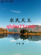 农民天王小说