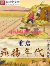 重启飞扬年代小说