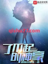 了不起的神豪小说