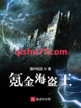氪金海盗王小说