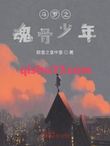 斗罗之魂骨少年小说