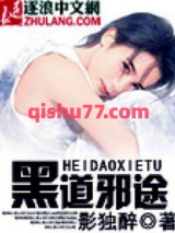 嗜血邪途小说