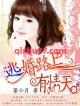 逃婚路上有情天小说