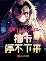抽卡停不下来小说