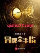 冒牌金手指小说