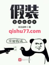 假装至高在诸天小说