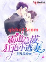 霸道总裁狂追小逃妻小说