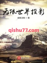 无限世界投影小说
