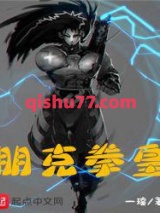朋克拳皇小说