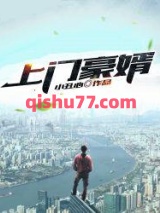 上门豪婿小说