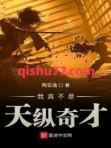 我真不是天纵奇才小说
