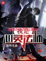我是心灵法师小说