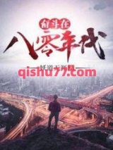 奋斗在八零年代小说