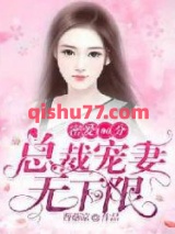 密爱100分：总裁宠妻无下限小说