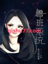 鲁班系统小说