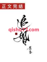 追婚小说