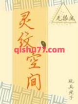 灵纹空间小说