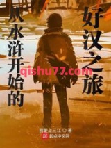 从水浒开始的好汉之旅小说