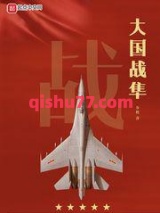 大国战隼小说