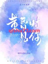黄昏时见你小说