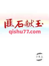 匪石献玉小说