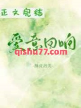 爱意回响小说
