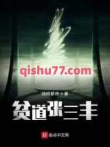 贫道张三丰小说