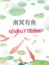 南冥有鱼小说