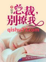 总裁，别撩我小说