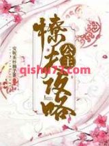 公主撩夫攻略小说