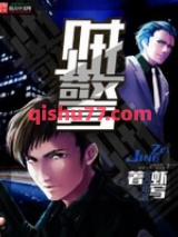贼警小说