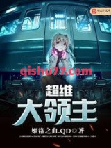 超维大领主小说