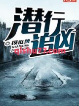 潜行追凶小说
