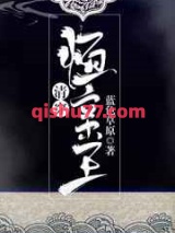 恒亲王小说
