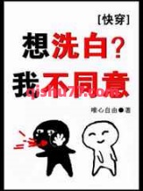 想洗白？我不同意小说