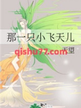 那一只小飞天儿小说