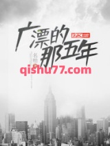 广漂的那五年小说