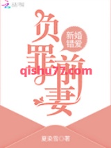 新婚错爱，负罪前妻小说
