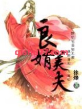 良婿美夫小说