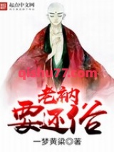 老衲要还俗小说