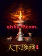 天下珍藏小说
