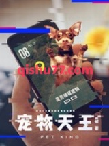 宠物天王小说
