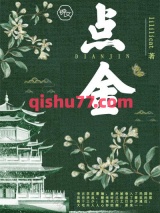 点金小说
