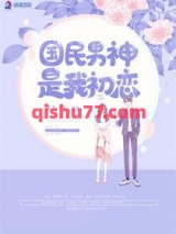 国民男神是我初恋小说