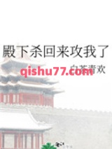 殿下杀回来攻我了小说