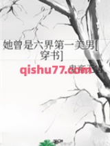 她曾是六界第一美男小说