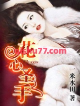 医界圣手小说
