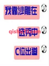 我靠沙雕在选秀C位出道小说