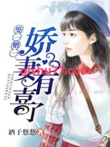 娶一赠一，娇妻有喜了小说