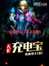 人形充电宝小说